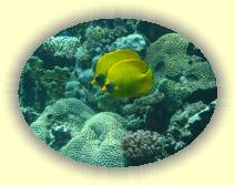 IMG_2007_05_29 14_39_29 * 3072 x 2304 * (951KB)